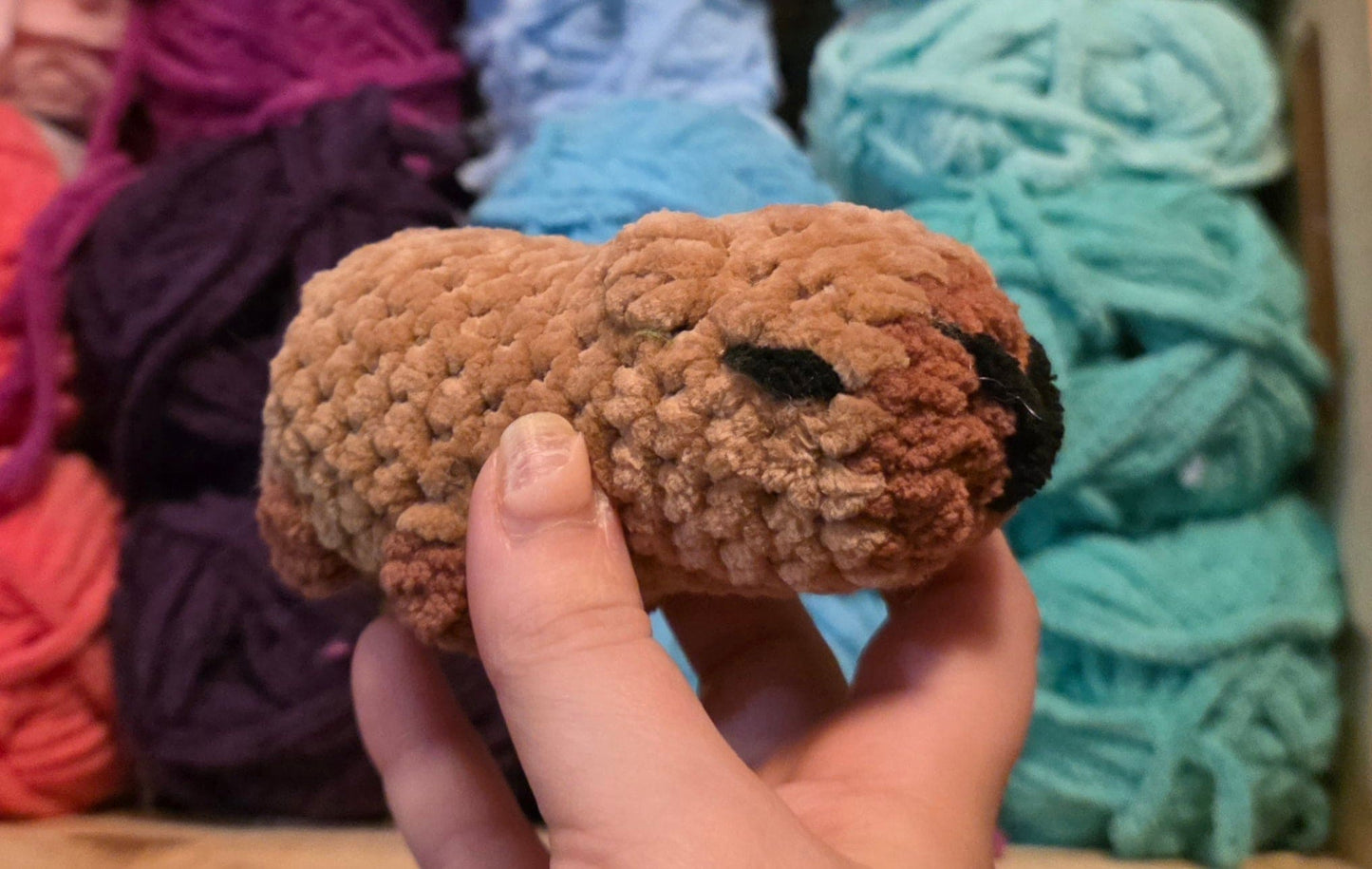 Sleeping Capybara