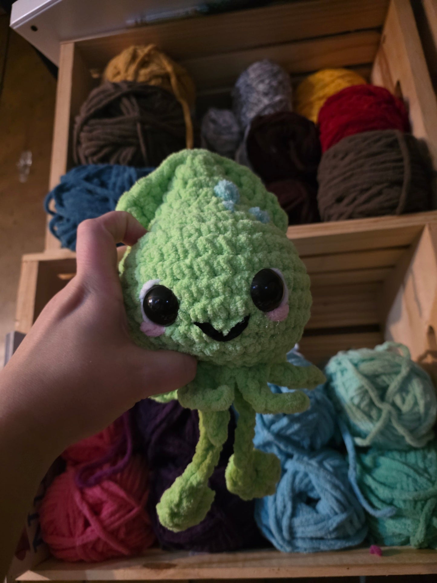 Stella the Squid