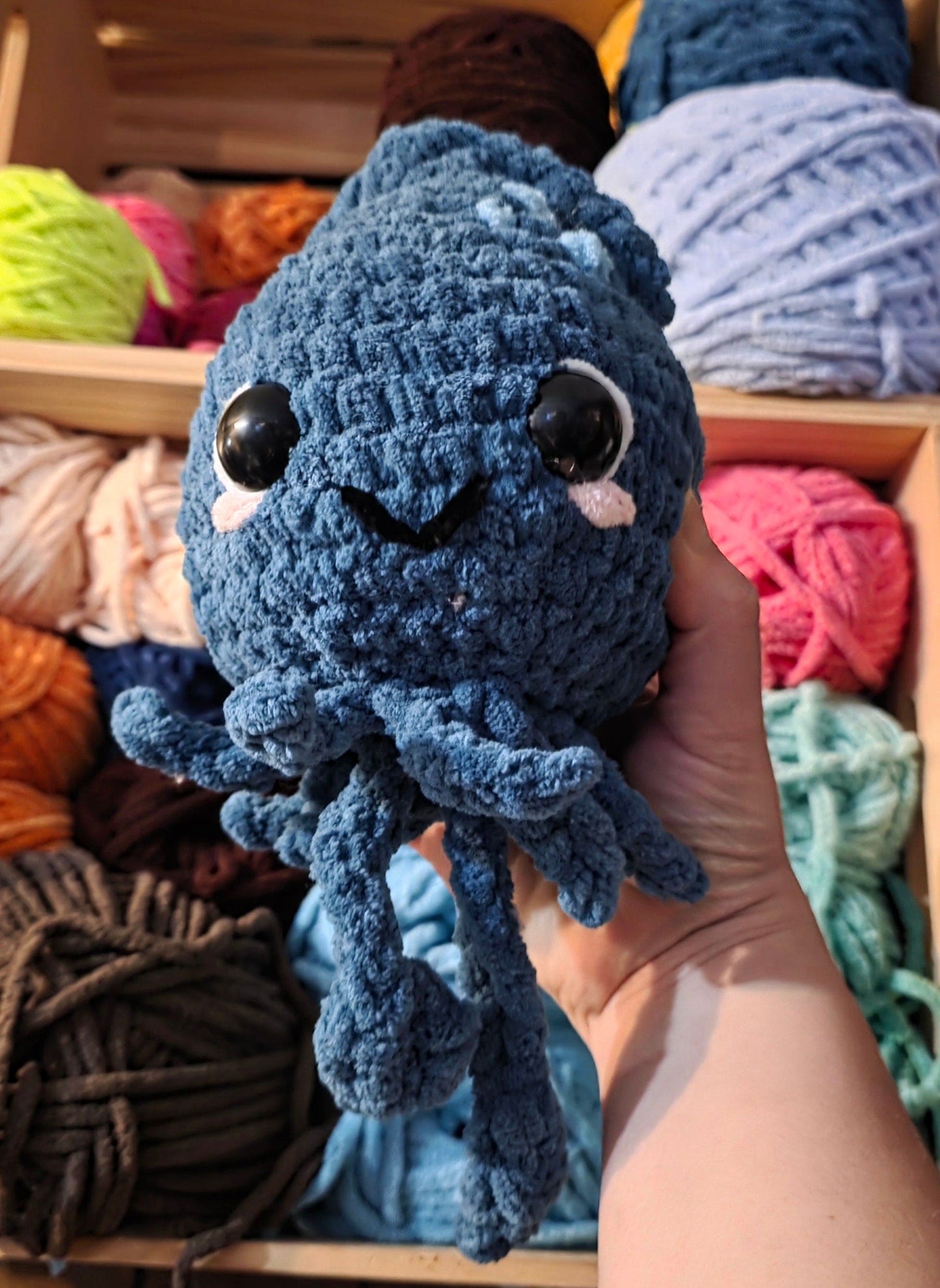 Stella the Squid