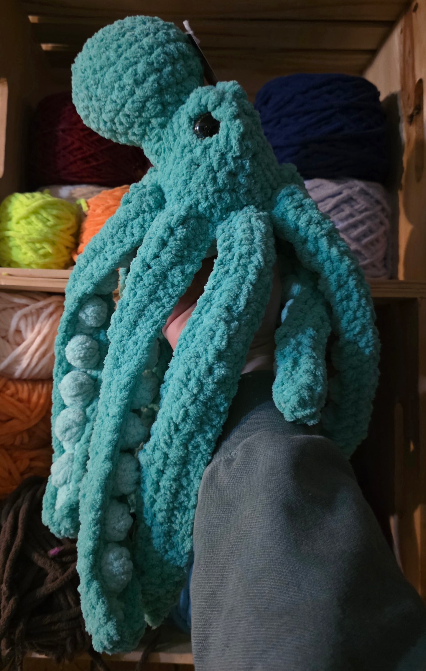 Caribbean Mini Anchor the Octopus