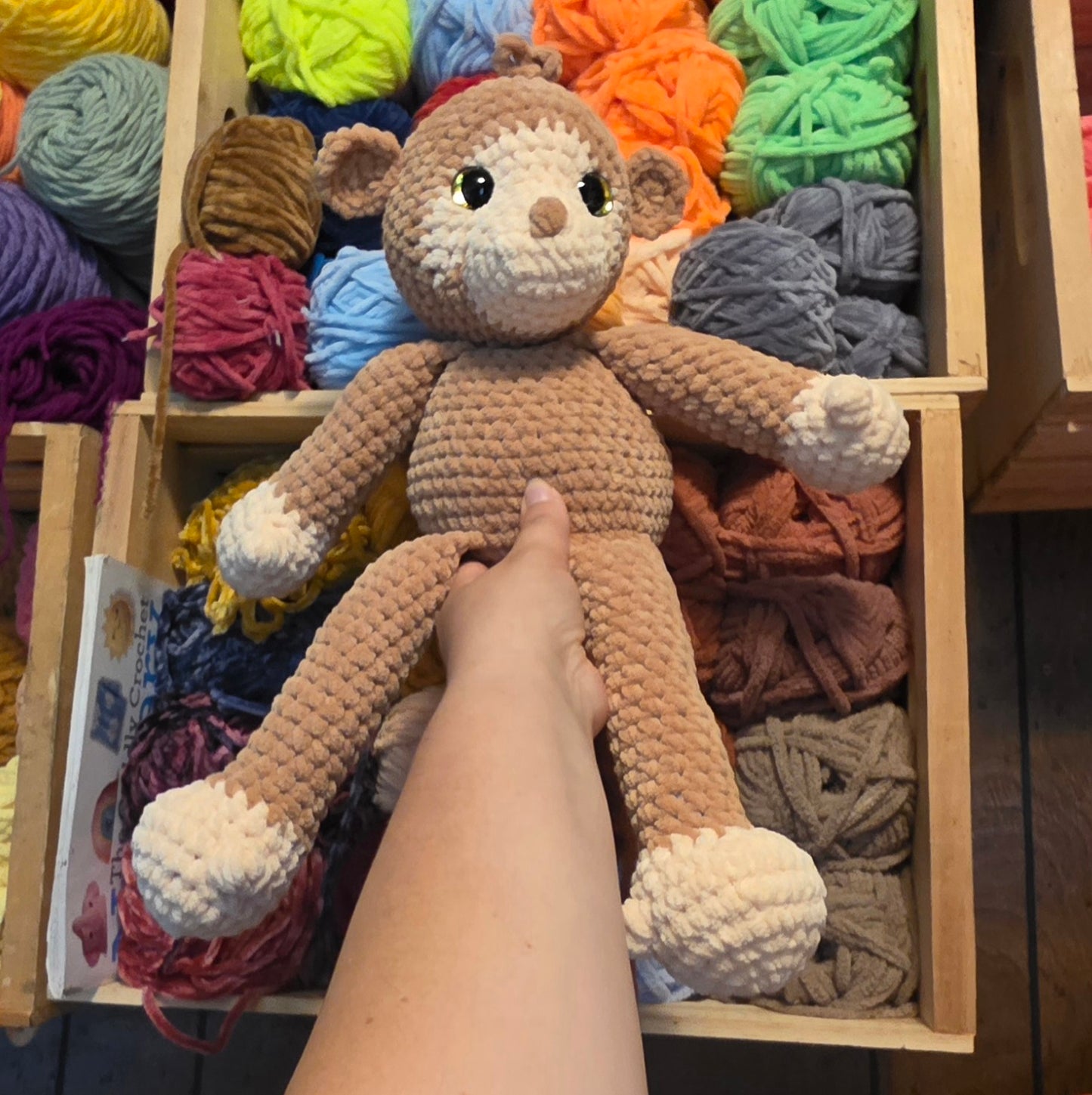Momo the Monkey