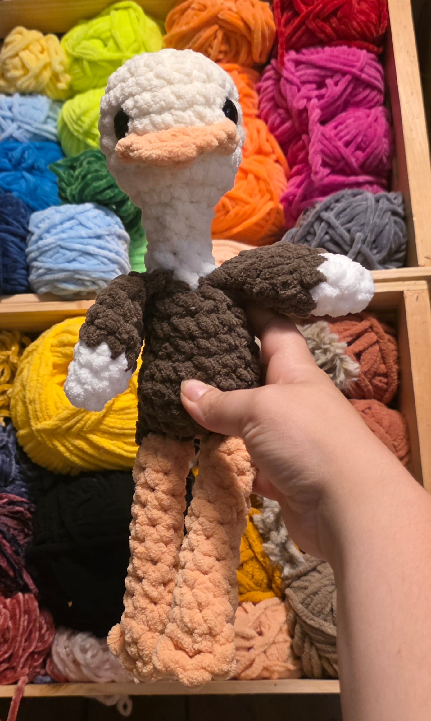 Ellie the Ostrich